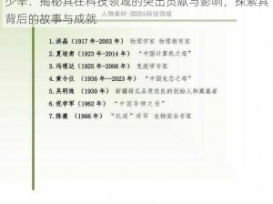 少辛：揭秘其在科技领域的突出贡献与影响，探索其背后的故事与成就