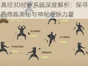 九阴真经3D经脉系统深度解析：探寻武侠世界的修炼奥秘与神秘经脉力量