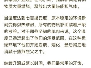 浴火焚神：揭秘背后真相，探索不为人知的惊人故事或重生之力量背后的奥义解析