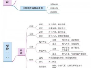 中医传统诊断手法望闻问切溯源：探寻其历史起源与发展脉络