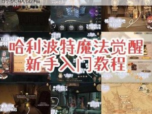 哈利波特魔法觉醒：解锁城堡奇妙夜头像框的获取秘籍