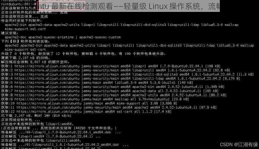 lubuntu 最新在线检测观看——轻量级 Linux 操作系统，流畅易用