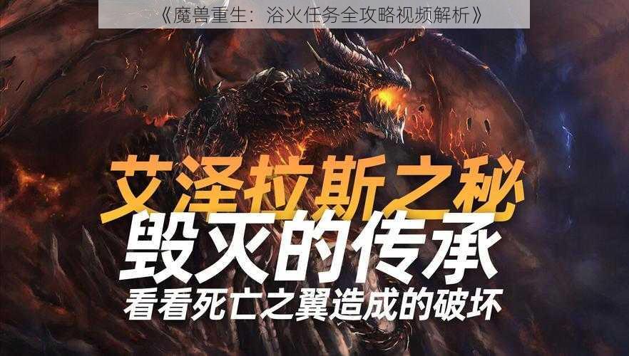 《魔兽重生：浴火任务全攻略视频解析》