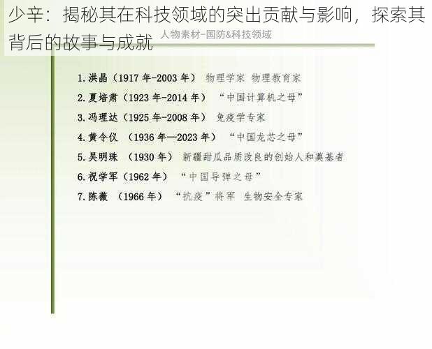 少辛：揭秘其在科技领域的突出贡献与影响，探索其背后的故事与成就