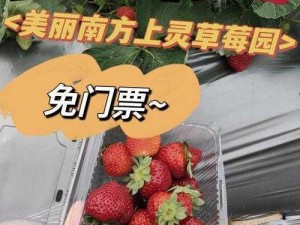 草莓视频体验区;如何进入草莓视频体验区？