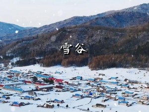 剑影穿越冬歌冰原：奇境漫游之冰雪征程探秘录