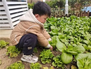 小孩子和妈妈打萝卜-妈妈和孩子齐心协力打萝卜