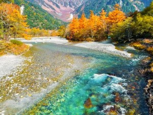 守住高地：探索独特玩法与魅力，领略高地风采的绝佳体验之旅简介