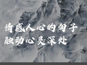 纯粹的触感(纯粹的触感，能否唤醒内心的柔软？)