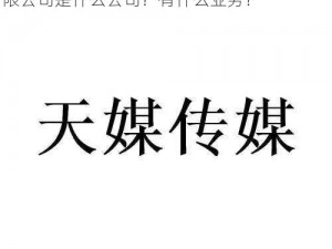 天美传媒有限公司的成立日期、天美传媒有限公司是什么公司？有什么业务？