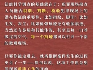 第三目击点深度追踪：揭秘事件真相的全面解析