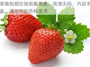 草莓视频在线观看免费，高清无码，内容丰富，满足你的各种需求