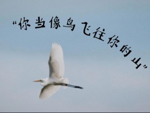 抖音热曲：你如飞鸟，向树梢飞去的歌谣旋律引人驻足欣赏