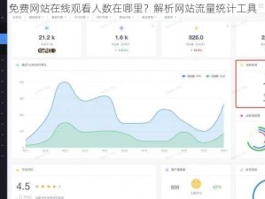 免费网站在线观看人数在哪里？解析网站流量统计工具