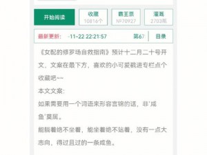 优质RB系统游戏沉芙(如何评价优质 RB 系统游戏沉芙？)