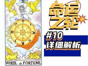 疼痛之轮wheelofpain—疼痛之轮 wheel of pain：探索未知的边界