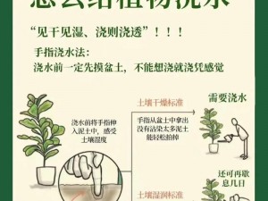 盆栽浇水艺术：精确掌握技巧与方法的全面指南