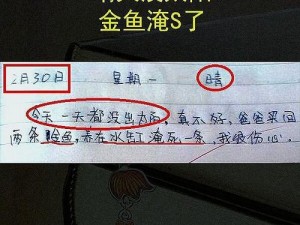 《沙雕日记：探索热闹小镇的欢乐攻略》