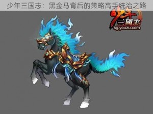 少年三国志：黑金马背后的策略高手统治之路