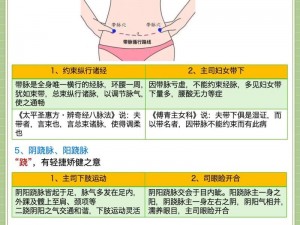 打通任督二脉的武林传奇：少林伏魔录经脉修炼详解