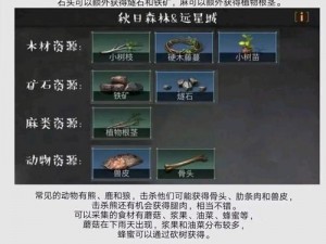 明日之后隐藏任务NPC揭秘：秋日森林特殊道具探寻之旅