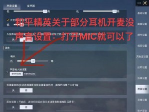 和平精英更新后麦克风无声解决方案探讨