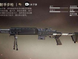 和平精英Mk14枪械详解与图鉴：全方位剖析射击利器