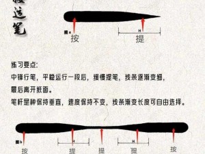 书法运笔之精妙：解析十种高效技巧