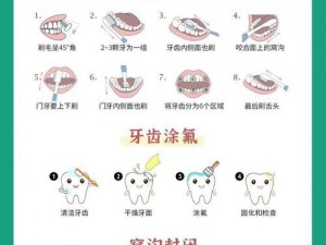 关于如何自我掌握刷牙技巧及设备配置的详细说明