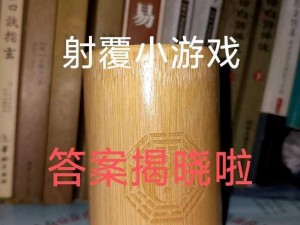 江湖秘密揭晓：射覆第八关答案全面解析与分享