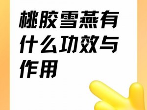 gg51_gg51 是什么？有什么作用？