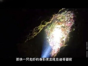 荒岛求生疑点解析：揭秘生存难题与探索未知之谜