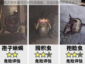 黎明之路狂暴因子的作用揭秘：阶段4丧尸的致命威胁探究