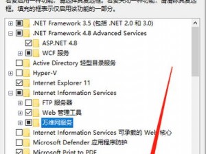 windowsserverHD(如何在 Windows Server HD 中实现远程访问？)