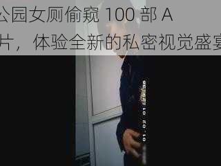 公园女厕偷窥 100 部 A 片，体验全新的私密视觉盛宴