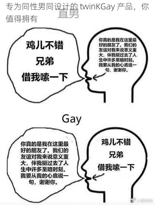 专为同性男同设计的 twinKGay 产品，你值得拥有