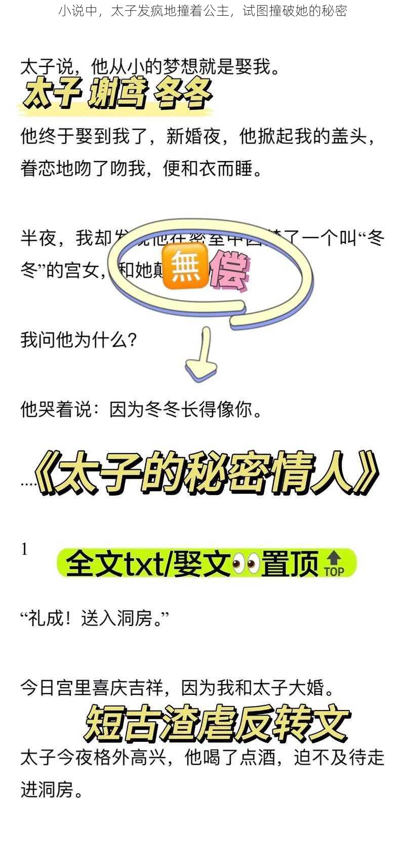 小说中，太子发疯地撞着公主，试图撞破她的秘密