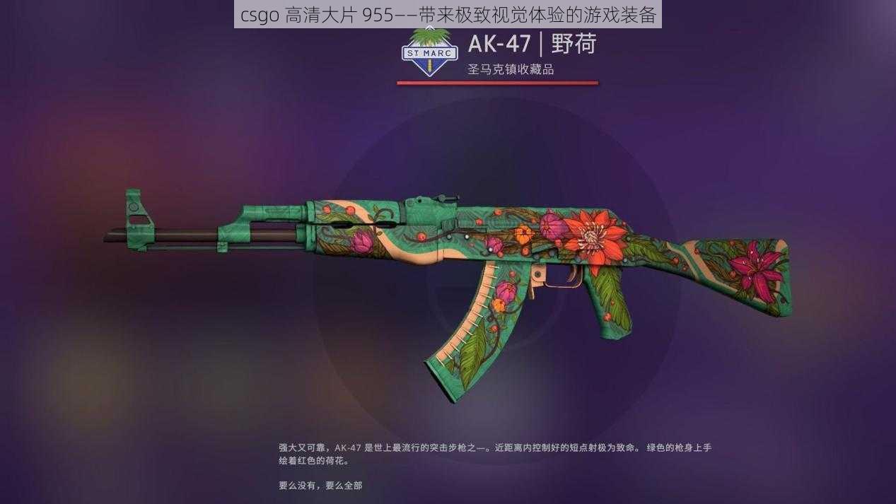 csgo 高清大片 955——带来极致视觉体验的游戏装备