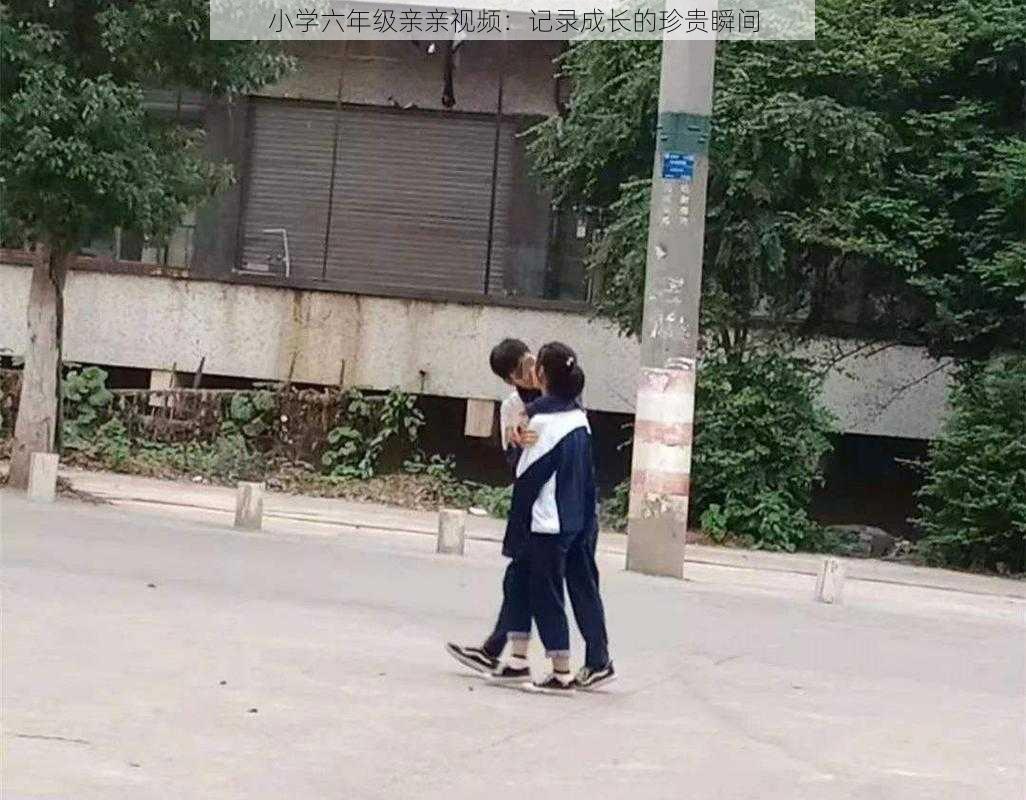 小学六年级亲亲视频：记录成长的珍贵瞬间