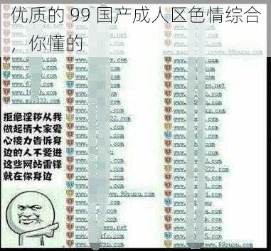 优质的 99 国产成人区色情综合，你懂的