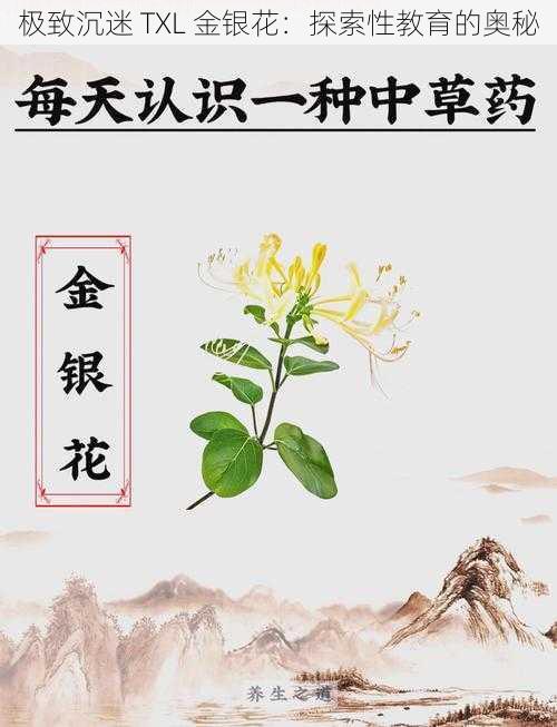 极致沉迷 TXL 金银花：探索性教育的奥秘