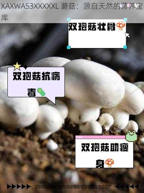 XAXWAS3XXXXXL 蘑菇：源自天然的营养宝库