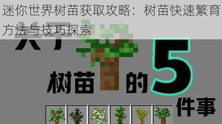 迷你世界树苗获取攻略：树苗快速繁育方法与技巧探索