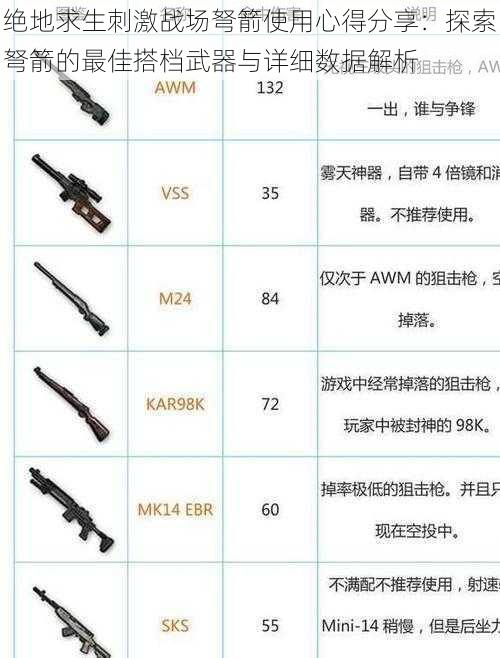 绝地求生刺激战场弩箭使用心得分享：探索弩箭的最佳搭档武器与详细数据解析