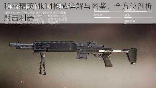 和平精英Mk14枪械详解与图鉴：全方位剖析射击利器