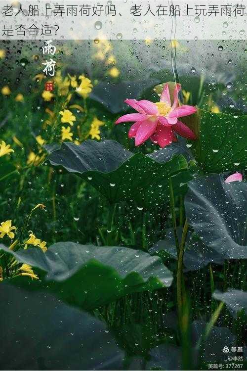 老人船上弄雨荷好吗、老人在船上玩弄雨荷是否合适？