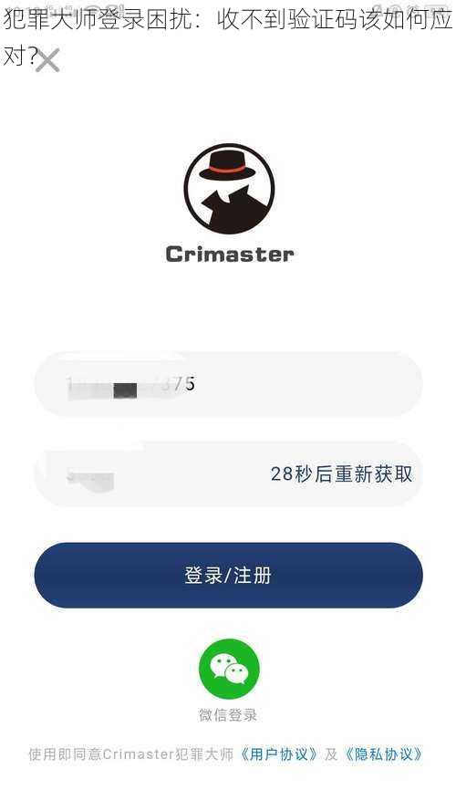 犯罪大师登录困扰：收不到验证码该如何应对？