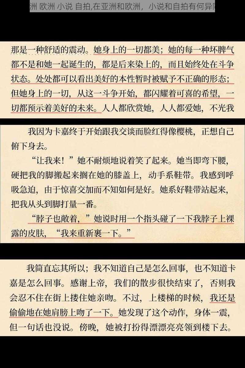 亚洲 欧洲 小说 自拍,在亚洲和欧洲，小说和自拍有何异同？