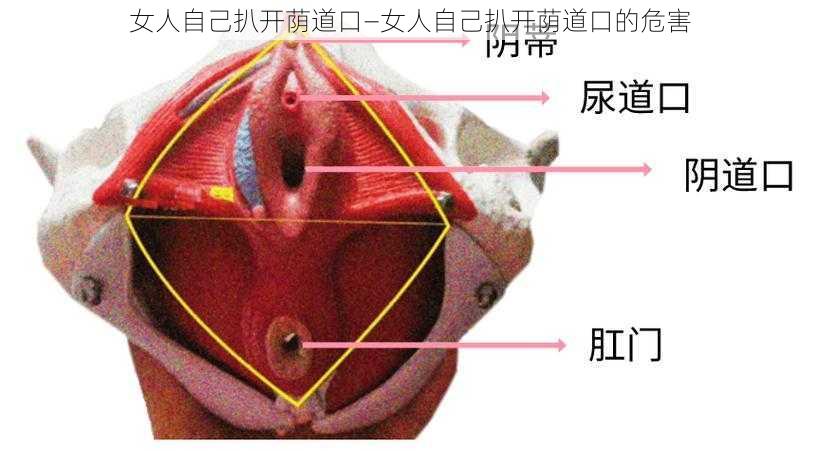 女人自己扒开荫道口—女人自己扒开荫道口的危害