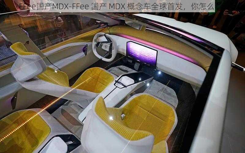 FFee国产MDX-FFee 国产 MDX 概念车全球首发，你怎么看？